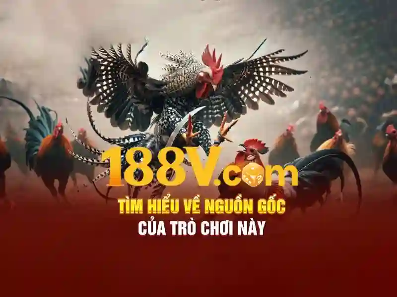 Giao diện nhà cái hoàn hảo