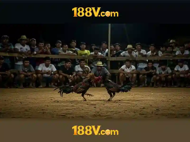 An toàn và bảo trì 188V