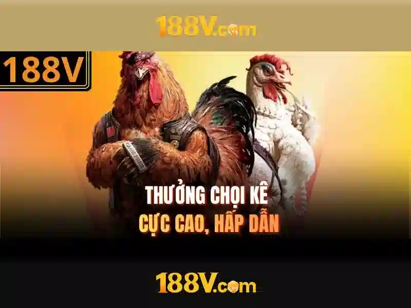 Khái niệm và nguồn gốc của 188v