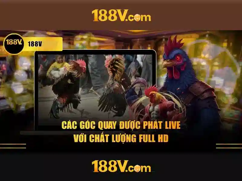 Lí thuyết và thực tiễn