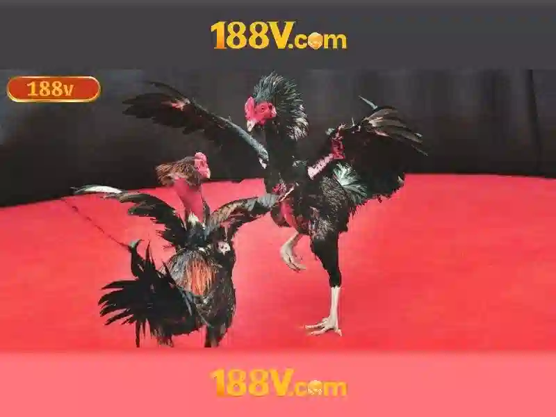 Nguồn gốc và ảnh hưởng
