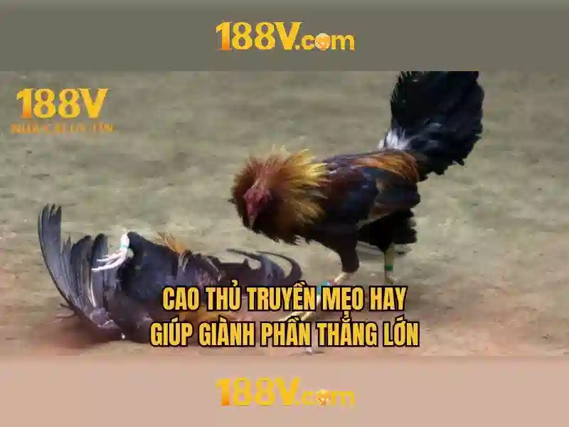 Ứng dụng thực tế