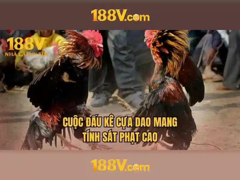 Đa dạng phiên bản và mở rộng