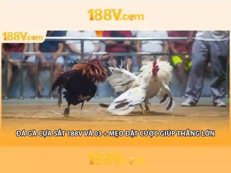 Ứng dụng phổ biến và ví dụ thực tế