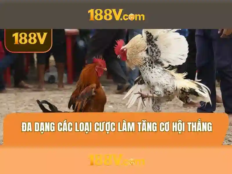 188v: Một khái niệm công nghệ và hành trình khám phá Giao diện nhà cái hoàn hảo