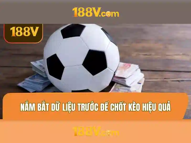 Văn bản quy phạm pháp luật