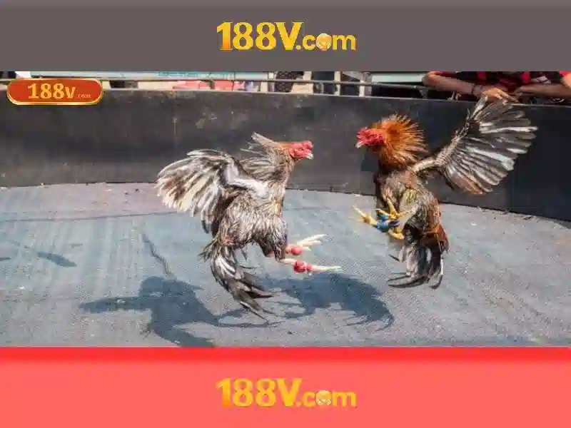 188v là gì?