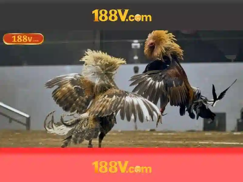 Khái niệm về 188V