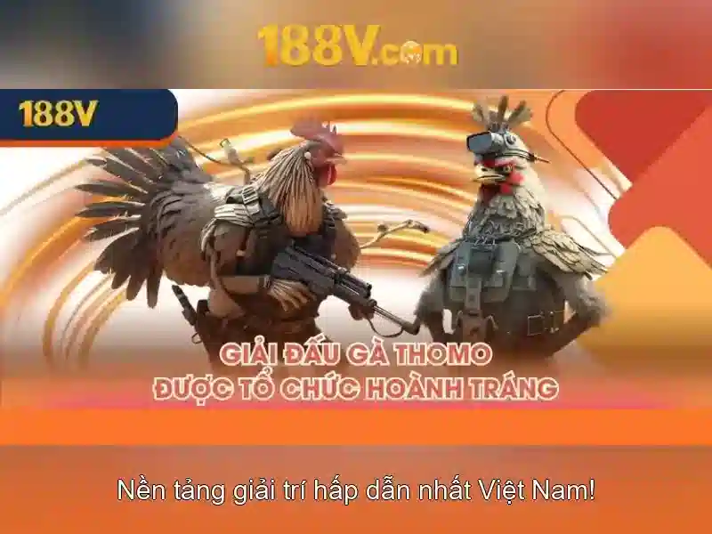 Giao diện nhà cái hoàn hảo