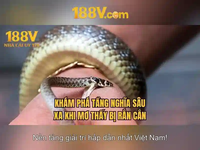 Tương lai của 188v