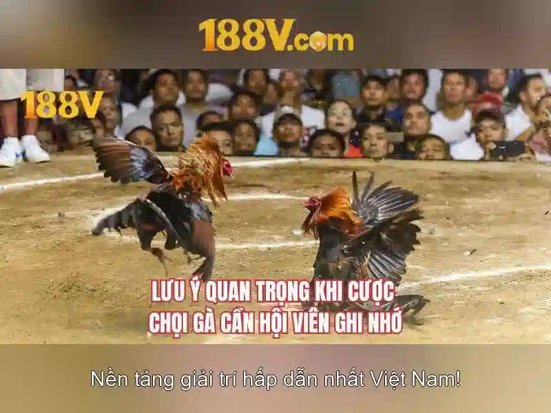 Giao diện nhà cái hoàn hảo