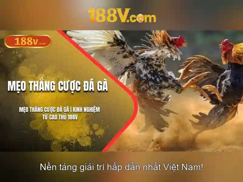 188v: khái niệm và ứng dụng trong thế hệ điện áp mới Giao diện nhà cái hoàn hảo