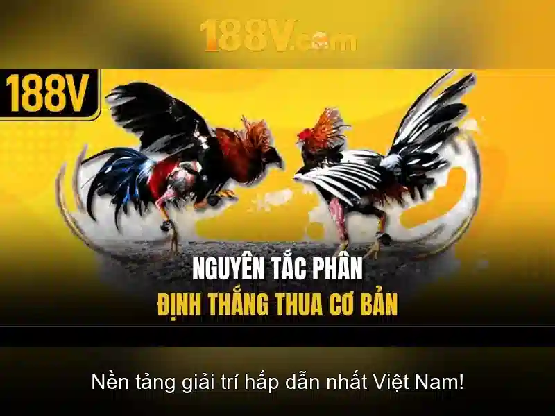 Ứng dụng và ví dụ