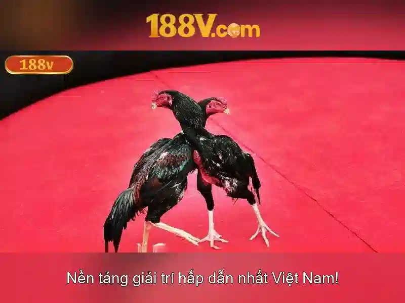 Giao diện nhà cái hoàn hảo