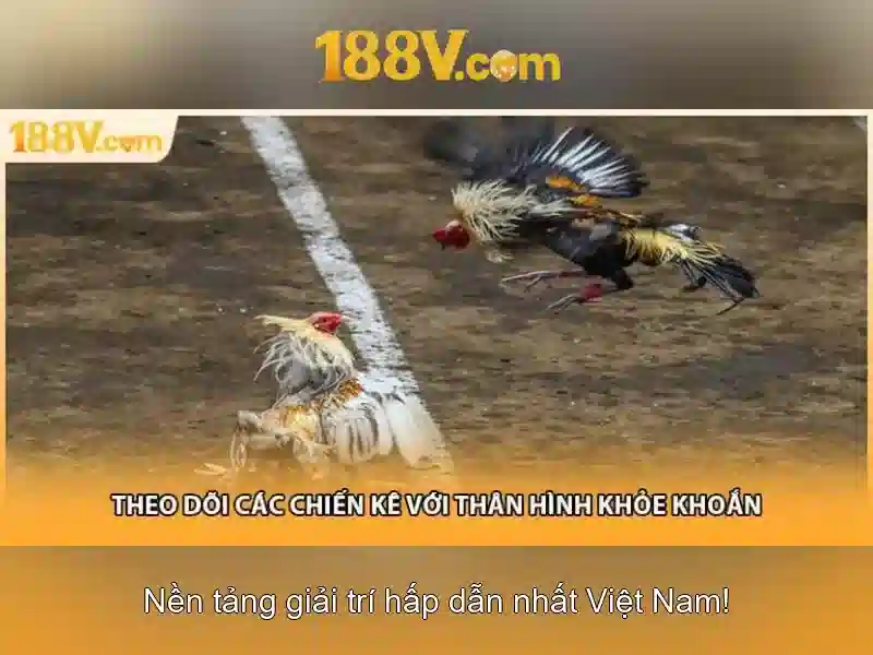Khám phá 188v
