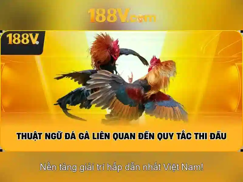 Giao diện nhà cái hoàn hảo
