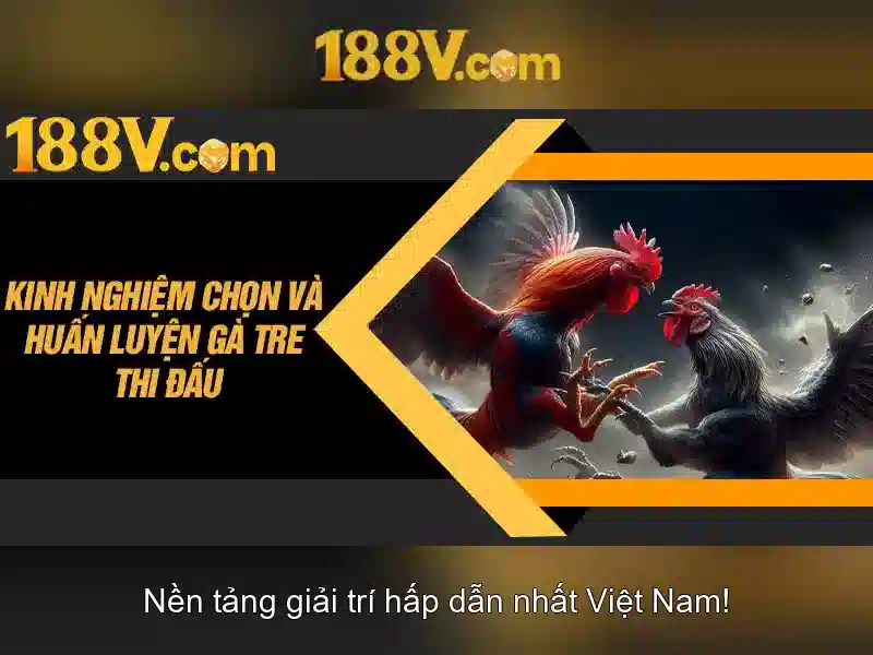 Những đặc tính nổi bật