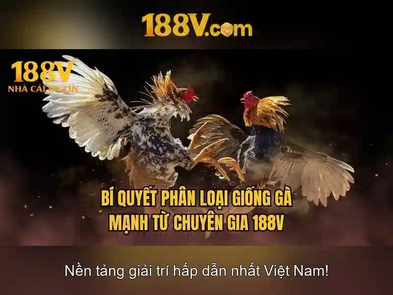 W88 🎖️Link Vào Trang Chủ Nhà Cái W88 Mới Nhất Tháng 9 ...