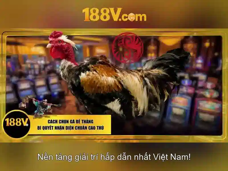 Nguồn gốc của 188v