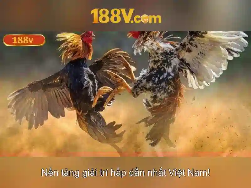 Lịch sử và ngữ cảnh của 188v