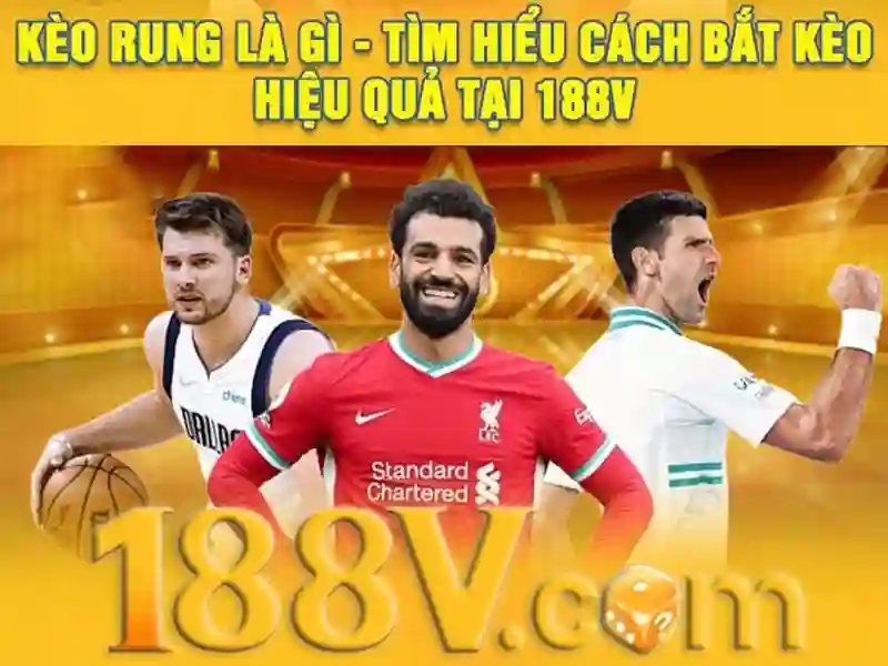 Hỗ trợ khách hàng 24/7